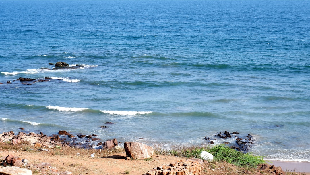 Photo "Beach paradise"